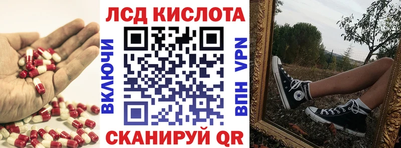 дарнет шоп  МЕГА tor  Лсд 25 экстази ecstasy  Кашин 